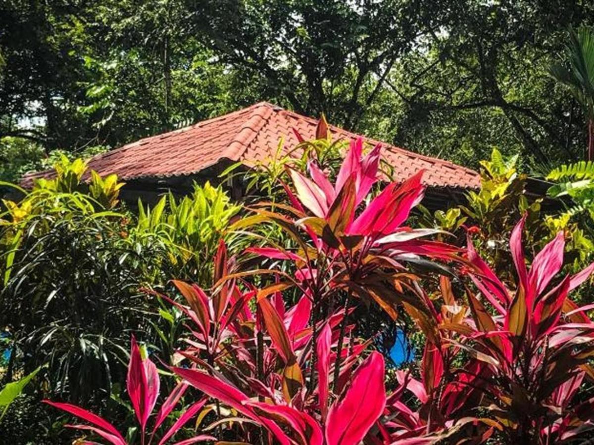 מונטזומה Casa Colores מראה חיצוני תמונה
