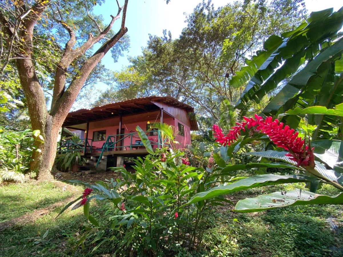 מונטזומה Casa Colores מראה חיצוני תמונה